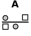 Choisissez la bonne réponse en fonction de l'image ci-dessus.